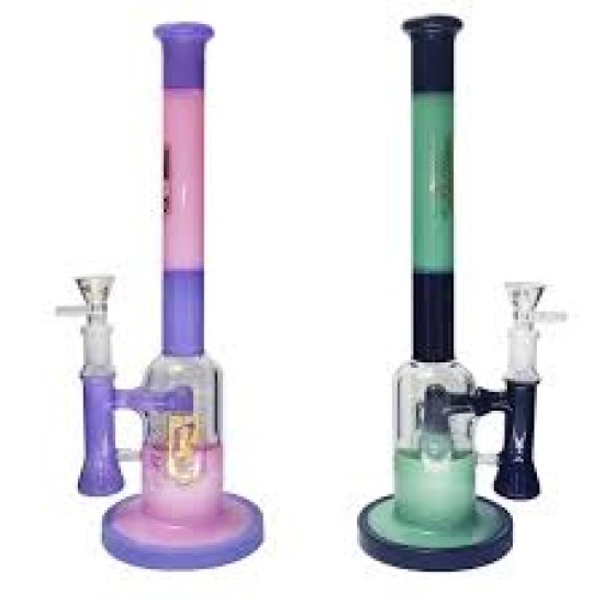 6B GLASS 2020B84 6B GLASS 2020B84
