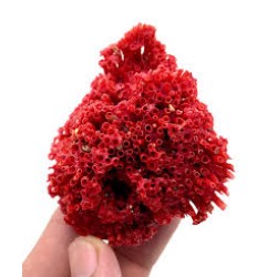 7.5" HAND CRAFTED FANCY CORAL DESIGN PIPE 7.5" HAND CRAFTED FANCY CORAL DESIGN PIPE