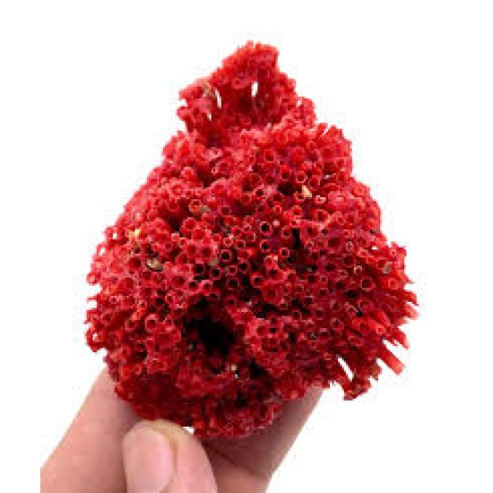 7.5" HAND CRAFTED FANCY CORAL DESIGN PIPE 7.5" HAND CRAFTED FANCY CORAL DESIGN PIPE