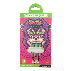 AFTERMATH SEED CO CANNABIS SEEDS 2PC/SHEET - GORILLA BLUE (HYBRID) AFTERMATH SEED CO CANNABIS SEEDS 2PC/SHEET - GORILLA BLUE (HYBRID)