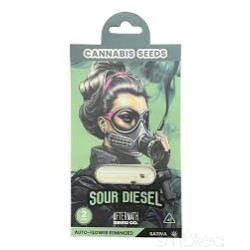 AFTERMATH SEED CO CANNABIS SEEDS 2PC/SHEET - SOUR DIESEL (SATIVA) AFTERMATH SEED CO CANNABIS SEEDS 2PC/SHEET - SOUR DIESEL (SATIVA)