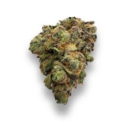 AKORA THCA INDOOR EXOTIC FLOWER 3.5G - BLUE ZUSHI AKORA THCA INDOOR EXOTIC FLOWER 3.5G - BLUE ZUSHI