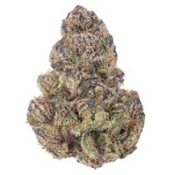 AKORA THCA INDOOR EXOTIC FLOWER 3.5G - CANDY GELATO/GRIMACE AKORA THCA INDOOR EXOTIC FLOWER 3.5G - CANDY GELATO/GRIMACE