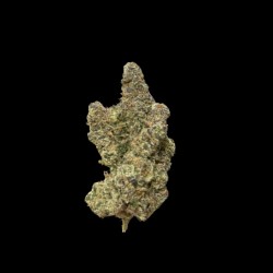 AKORA THCA INDOOR EXOTIC FLOWER 3.5G - GALACTIC WARHEADZ AKORA THCA INDOOR EXOTIC FLOWER 3.5G - GALACTIC WARHEADZ