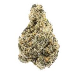 AKORA THCA INDOOR EXOTIC FLOWER 3.5G - RAINBOW BELTZ AKORA THCA INDOOR EXOTIC FLOWER 3.5G - RAINBOW BELTZ