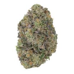 AKORA THCA INDOOR EXOTIC FLOWER 3.5G - DOLATO/SHERB CAKE AKORA THCA INDOOR EXOTIC FLOWER 3.5G - DOLATO/SHERB CAKE