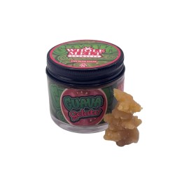 WHOLE MELT LIVE RESIN SUGAR DAB 1OZ - GUAVA GELATO